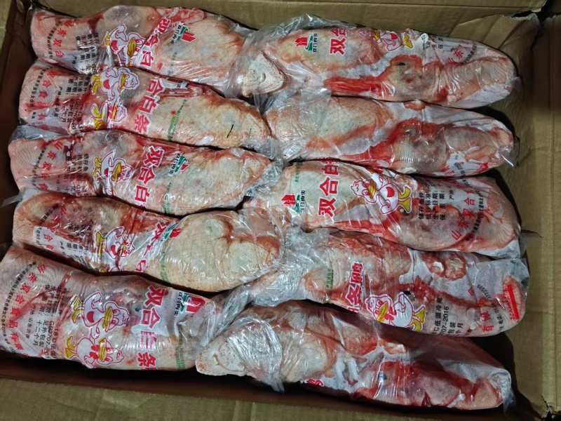樱桃谷白条鸭
