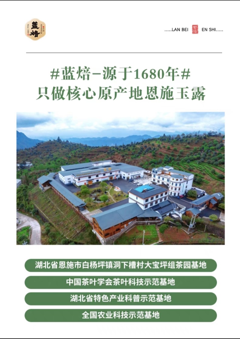 蓝焙恩施玉露礼盒装批发零售