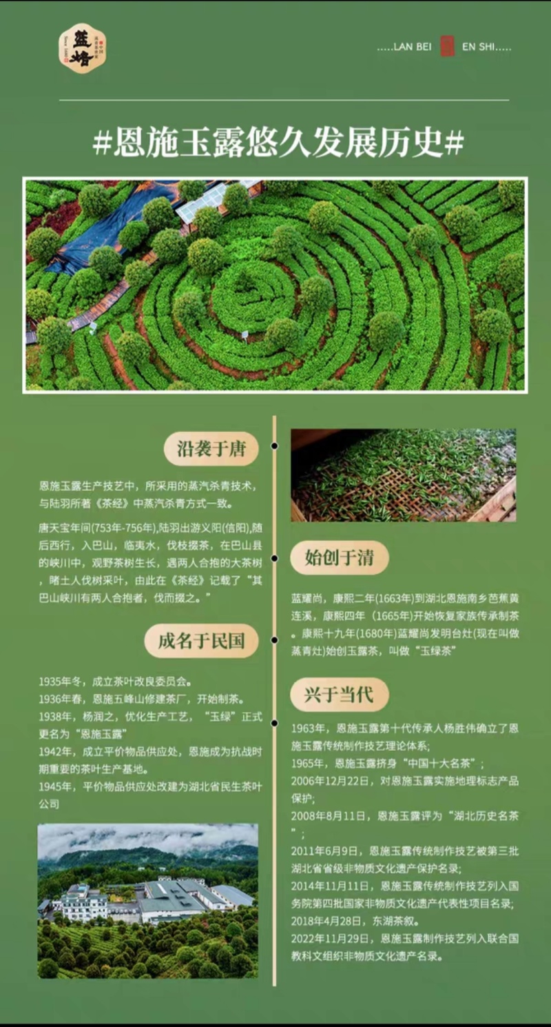 蓝焙恩施玉露礼盒装批发零售