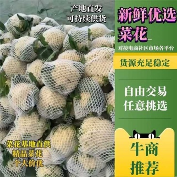 河北张北县精品有机花菜保质保量稳定货源欢迎联系