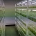 脱毒马铃薯瓶苗V7沃土5号希森6号实验一冀张薯226