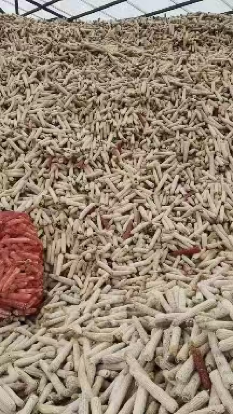 甄选云南玉米芯品质好诚信经营货源充足大量从优