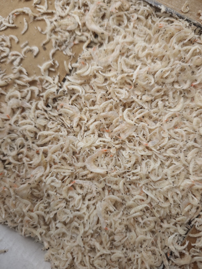 引子虾虾皮小虾皮