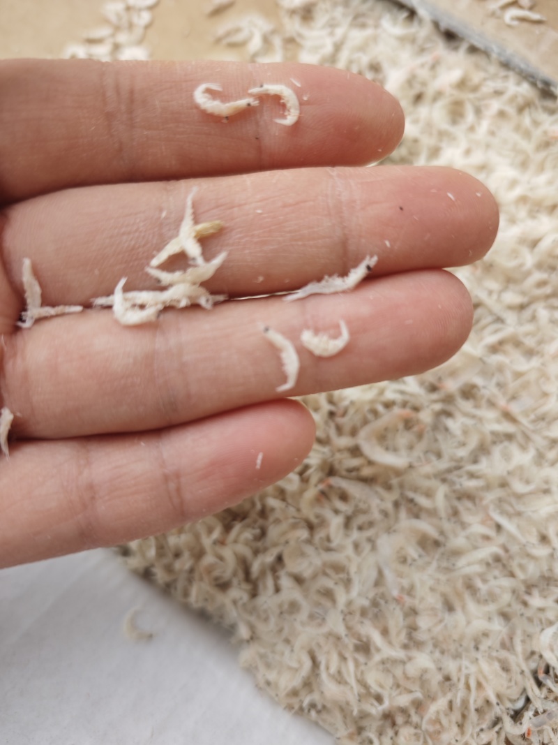 引子虾虾皮小虾皮