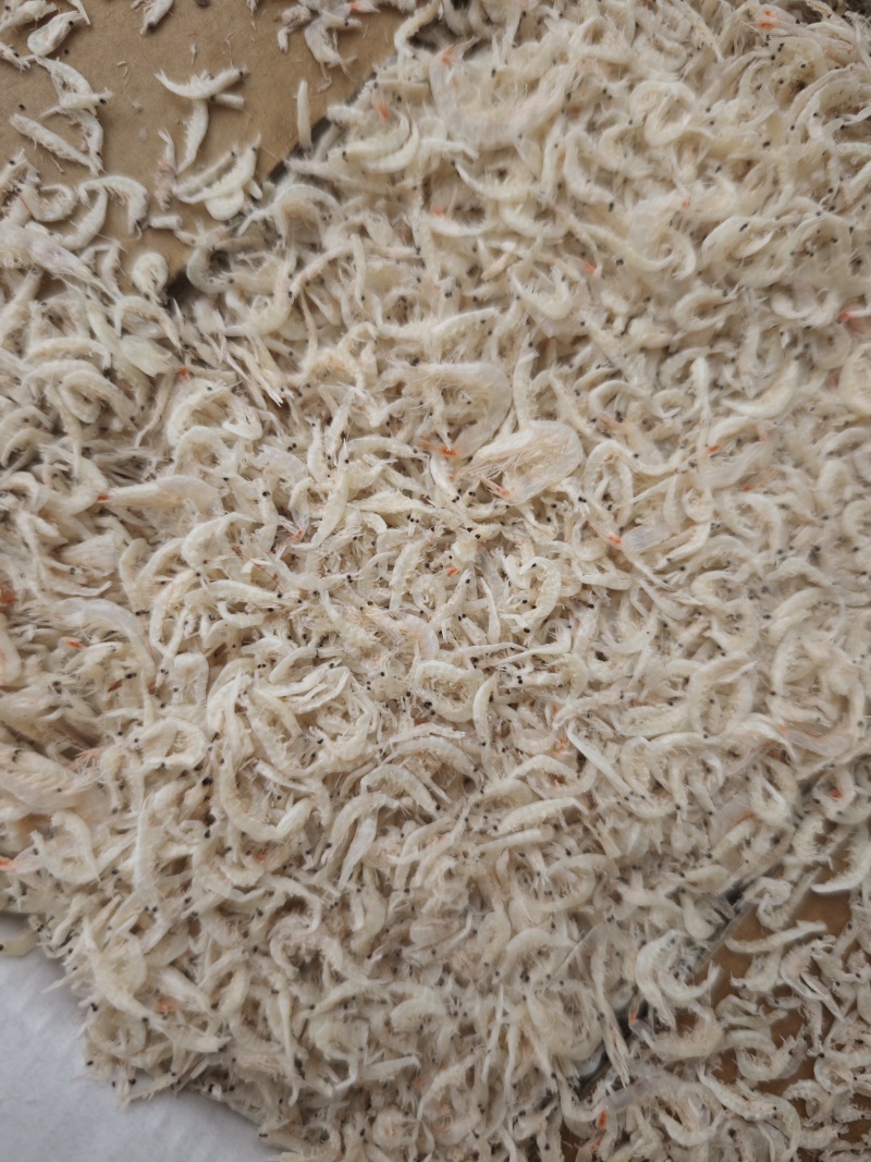 引子虾虾皮小虾皮