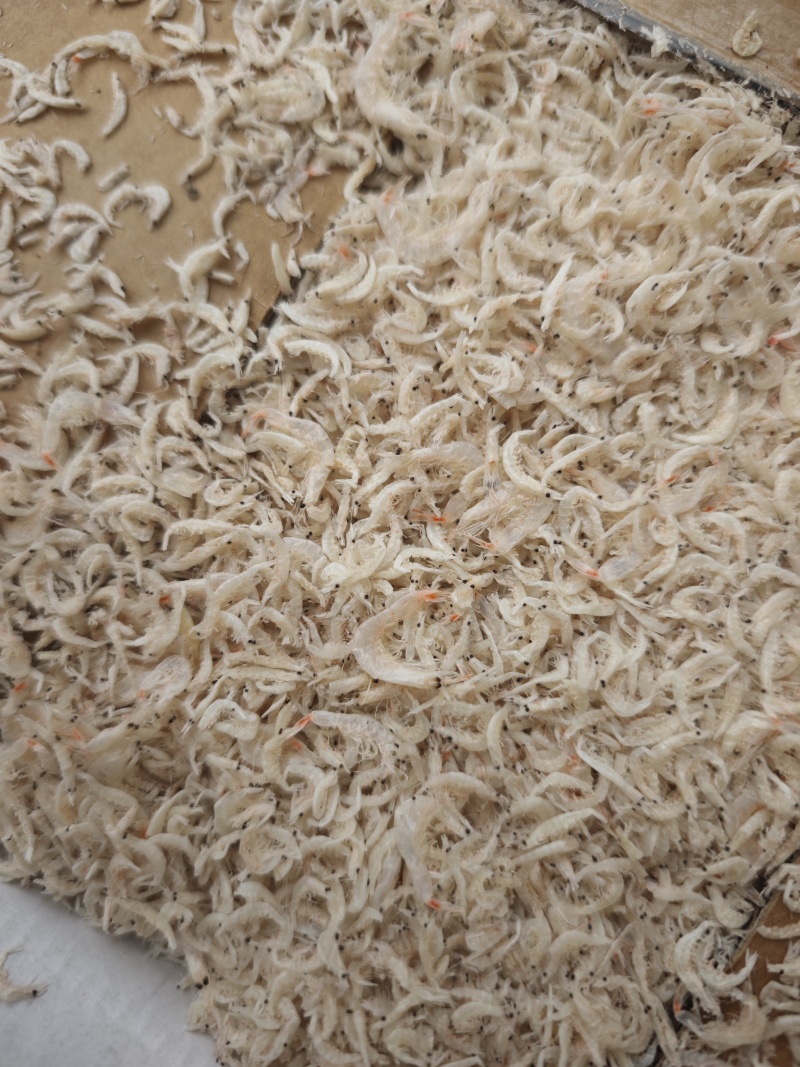 引子虾虾皮小虾皮