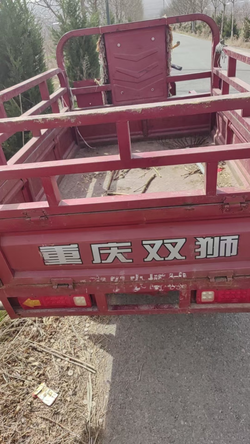 双狮汽油三轮摩托车150型