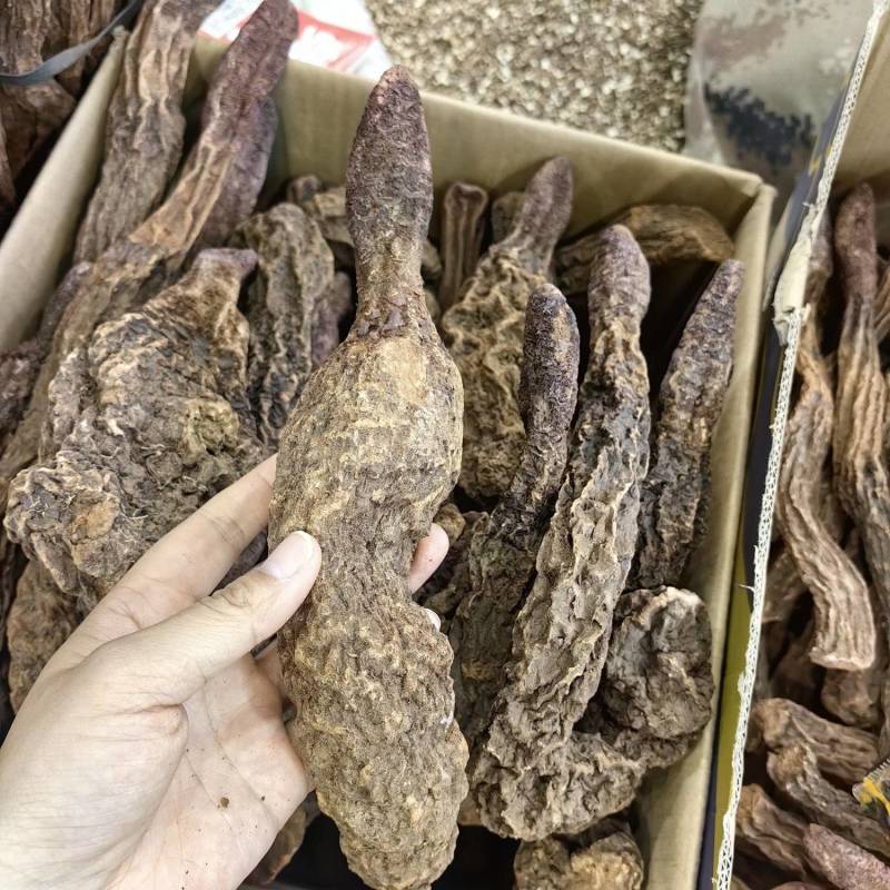 锁阳锁阳个纯干各种规格批发零售