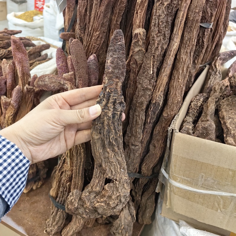 锁阳锁阳个纯干各种规格批发零售