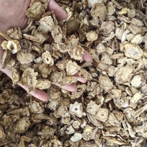 秦艽秦艽片各种规格纯干无硫