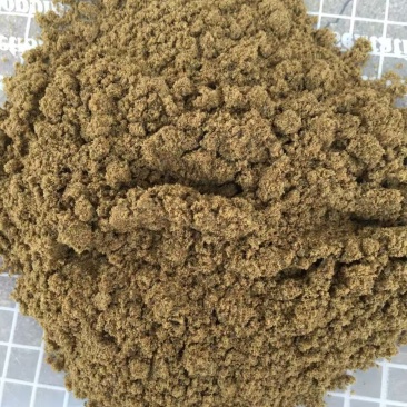 鱼粉