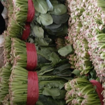 菠菜
