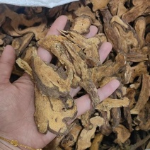 白术炒白术纯干无硫