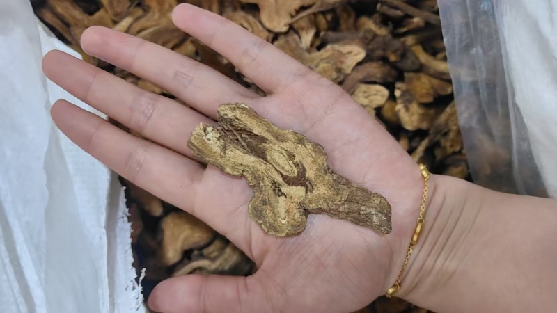 白术炒白术纯干无硫