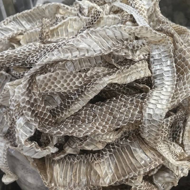 龙衣蛇衣蛇蜕各种规格