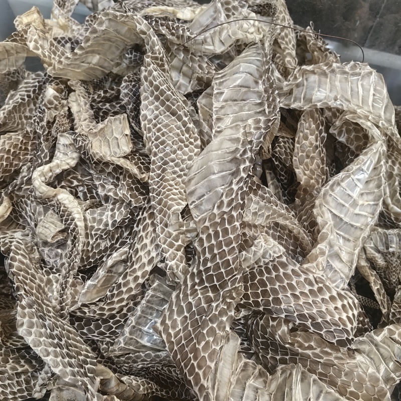 龙衣蛇衣蛇蜕各种规格