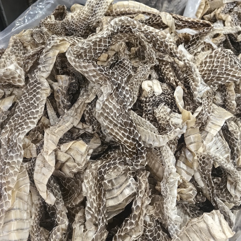 龙衣蛇衣蛇蜕各种规格