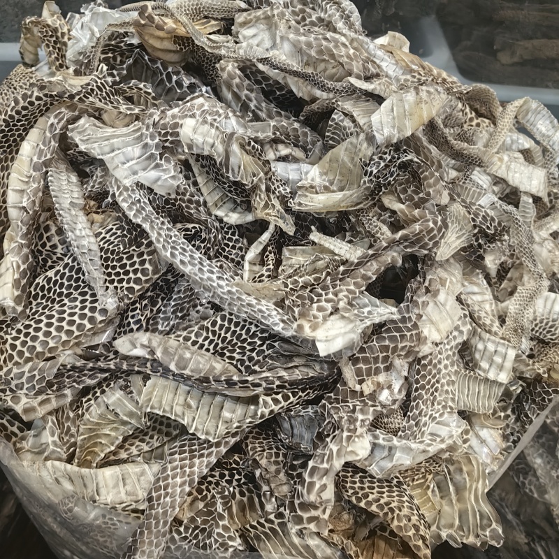 龙衣蛇衣蛇蜕各种规格