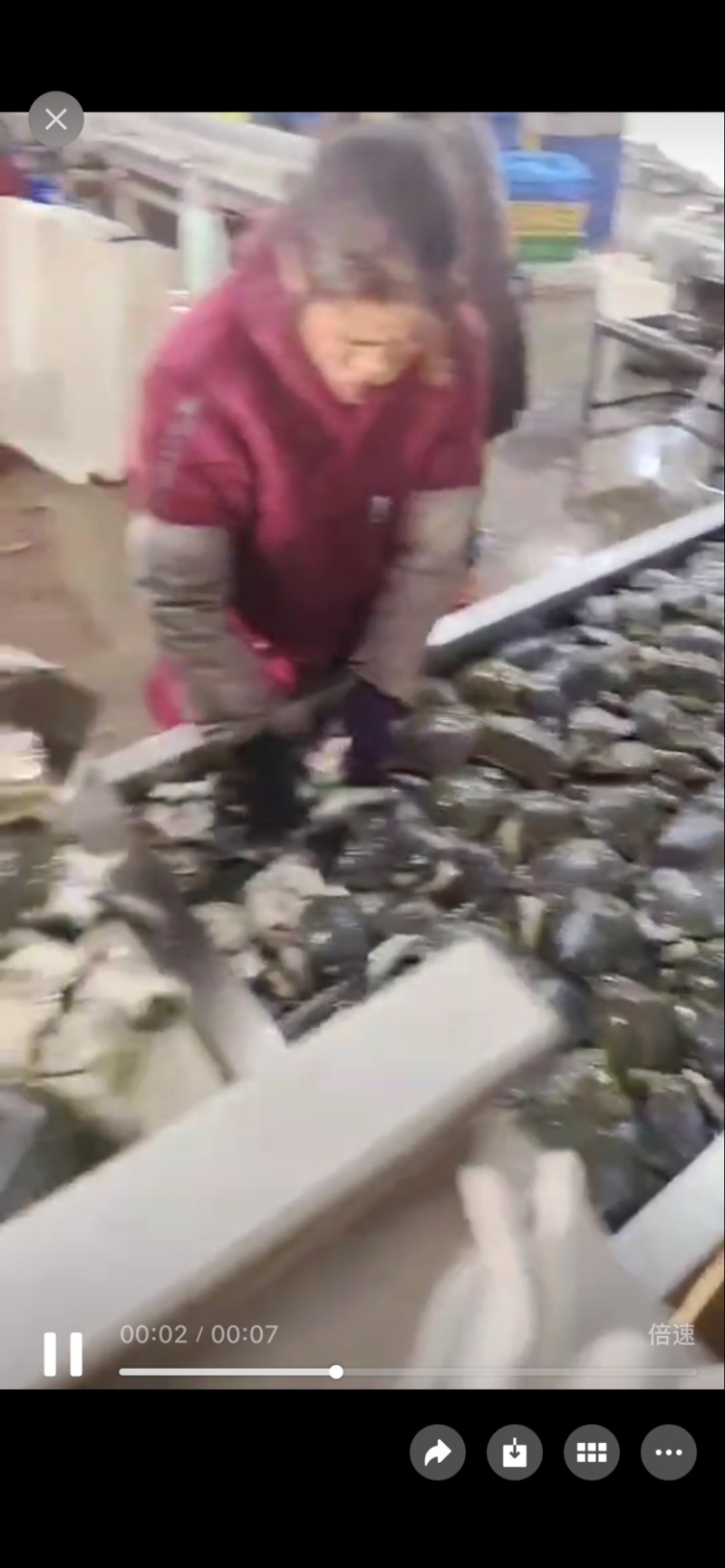 杀好去皮去内脏不去油款