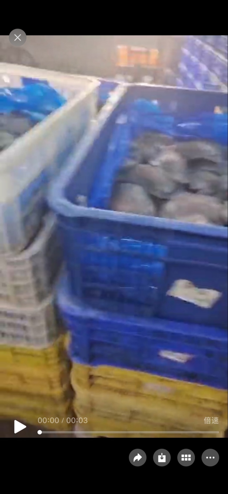 麻辣甲鱼，甲鱼鸡煲，甲鱼火锅，食材直供！