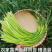 蒜苔红帽蒜苔白帽蒜苔产地看货论价保质保量