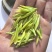 明前茶