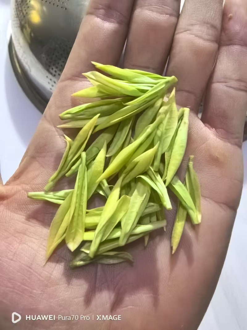 明前茶