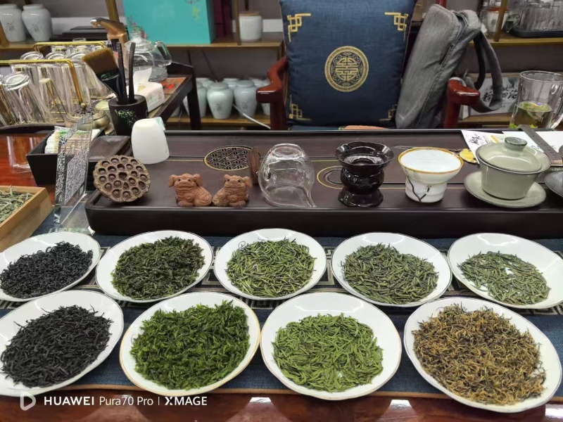 明前茶
