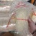 豌豆粉丝一件20斤50把左右