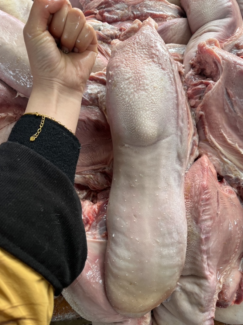 精品牛舌，品质保证，产地直发，诚信经营，欢迎客商来电，