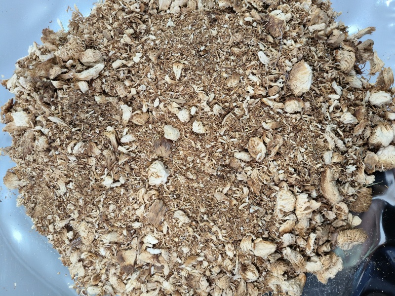 东北特产猴头菇食用菌碎块碎沫猴头菇净重无干燥剂包邮