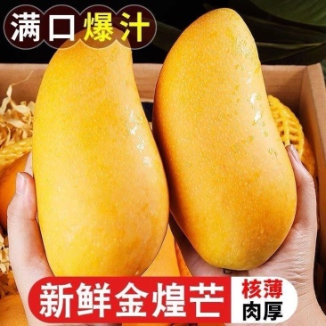 正宗海南金煌芒芒果芒果一件代发承接各大电商平台