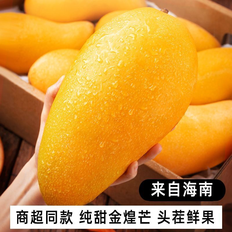 正宗海南金煌芒芒果芒果一件代发承接各大电商平台