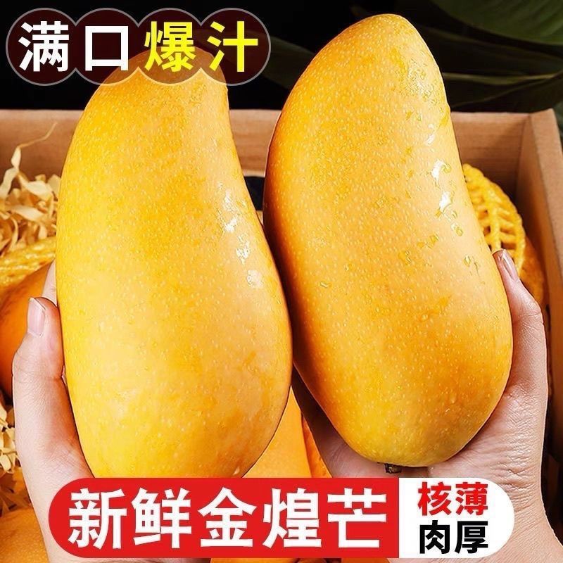正宗海南金煌芒芒果芒果一件代发承接各大电商平台