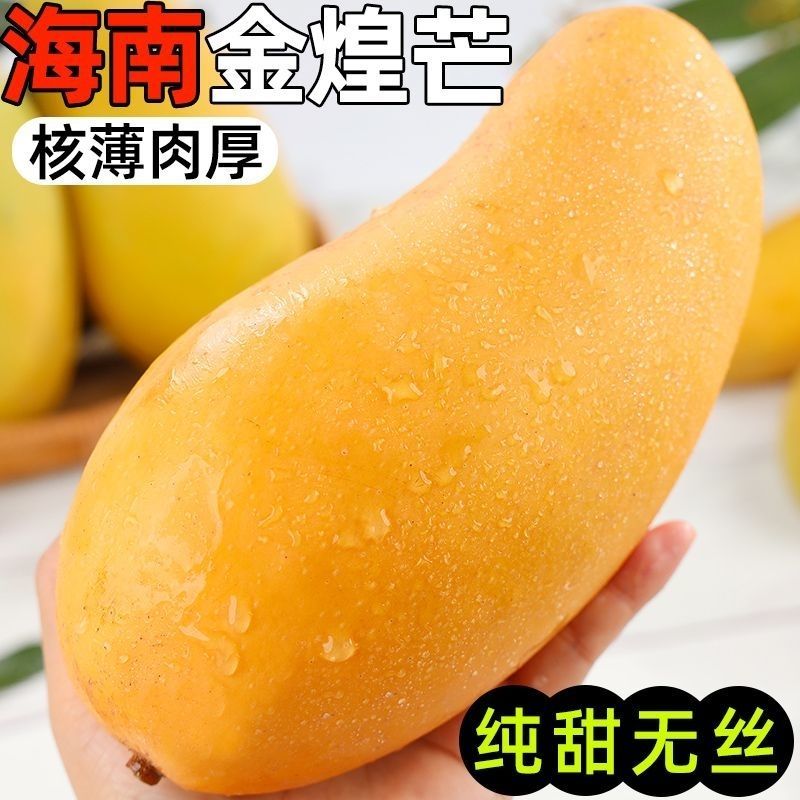 正宗海南金煌芒芒果芒果一件代发承接各大电商平台