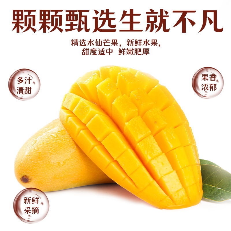 正宗海南金煌芒芒果芒果一件代发承接各大电商平台