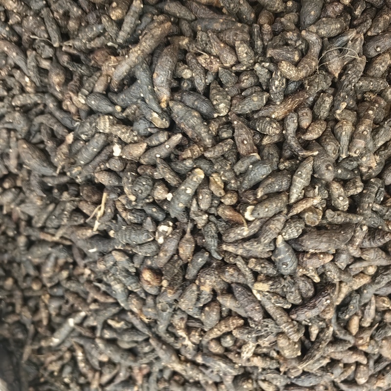 香附香附个无硫纯干各种规格