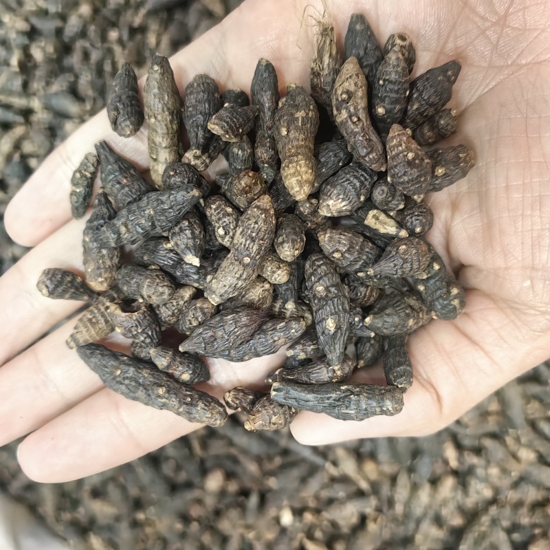 香附香附个无硫纯干各种规格