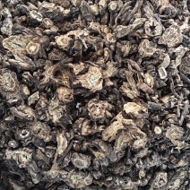 羌活羌活片各种规格无硫纯干