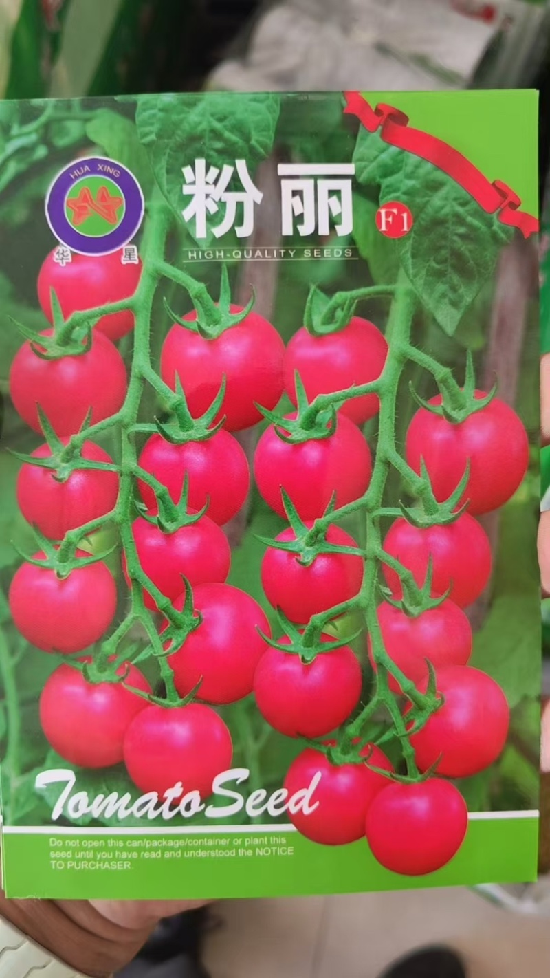 樱桃小番茄种子粉红果耐裂口感佳千禧圣女果种子千禧果种子