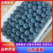 精品蓝莓F6，优瑞卡供拼多多，抖音等对接电商一件代发