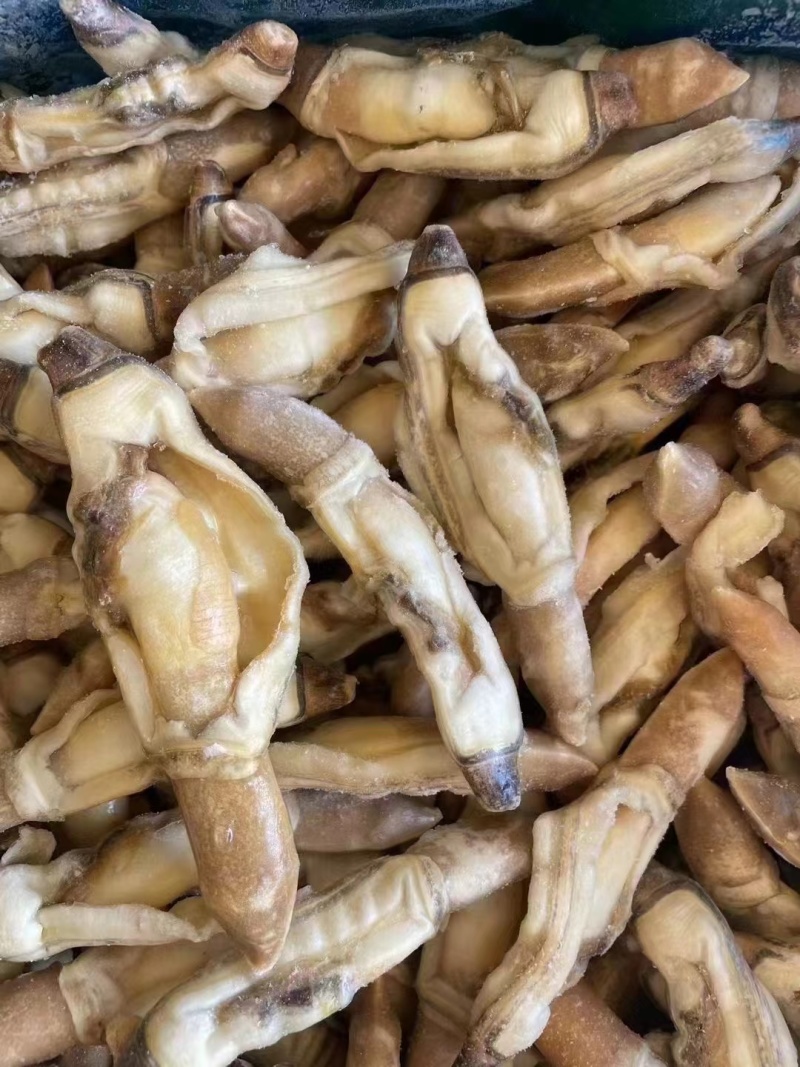蛏王肉，蛏子肉，电商蛏王肉，干冰蛏子肉，无沙蛏王肉