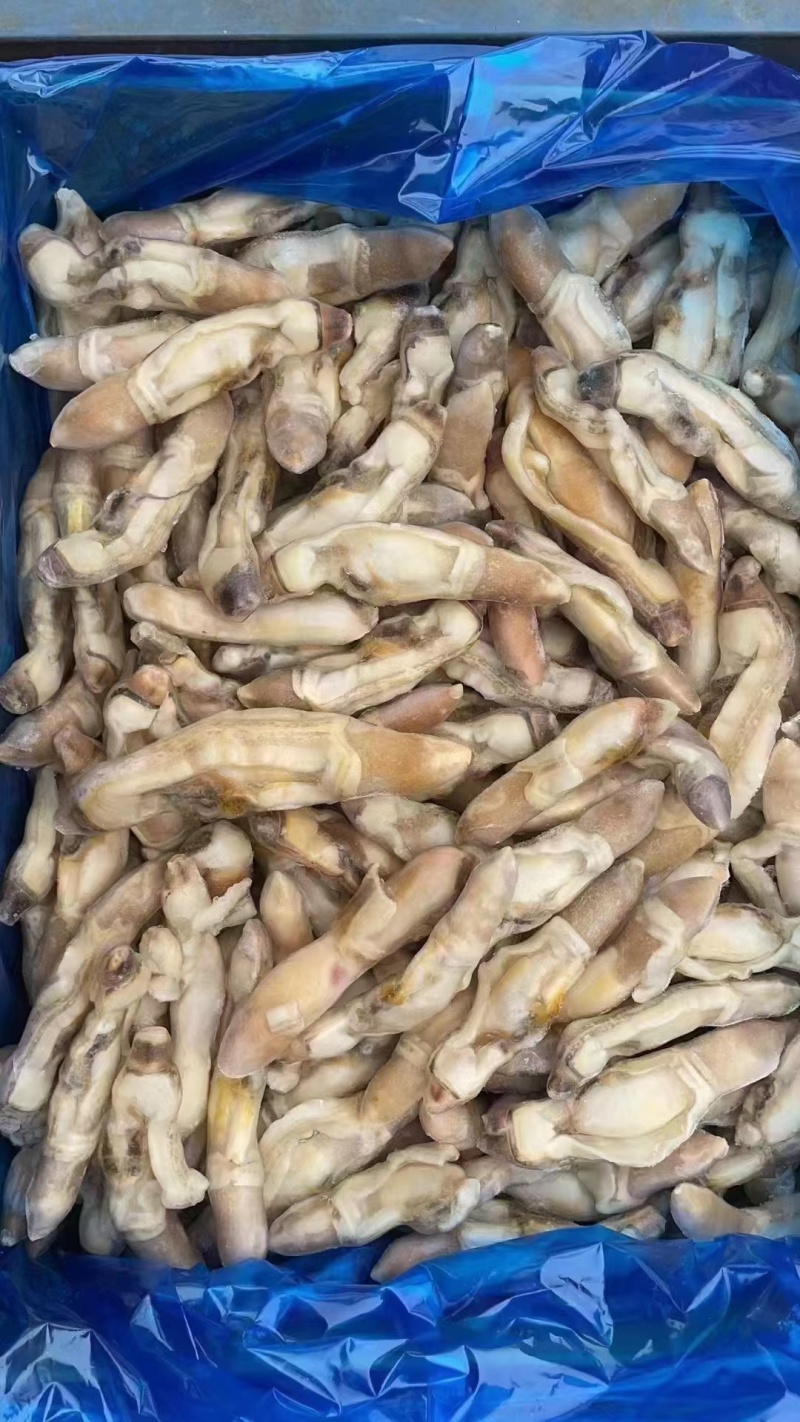 蛏王肉，蛏子肉，电商蛏王肉，干冰蛏子肉，无沙蛏王肉