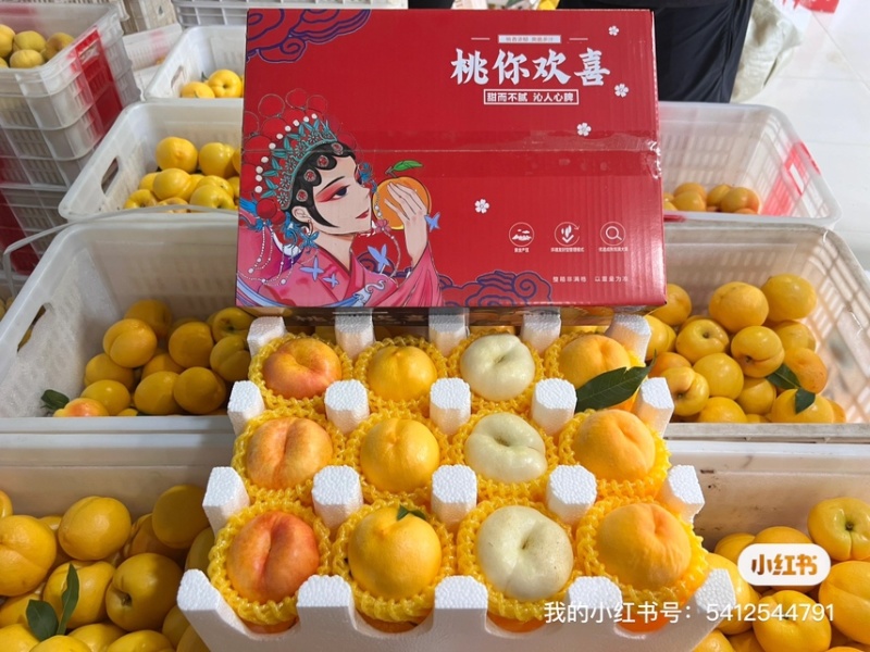 山东蒙阴蜜桃