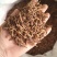 【九节菖蒲】节菖蒲实拍现货优质无硫正品选装只卖正品