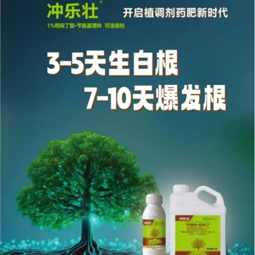 生生根爆发根-1%苄氨基嘌呤.吲哚乙酸