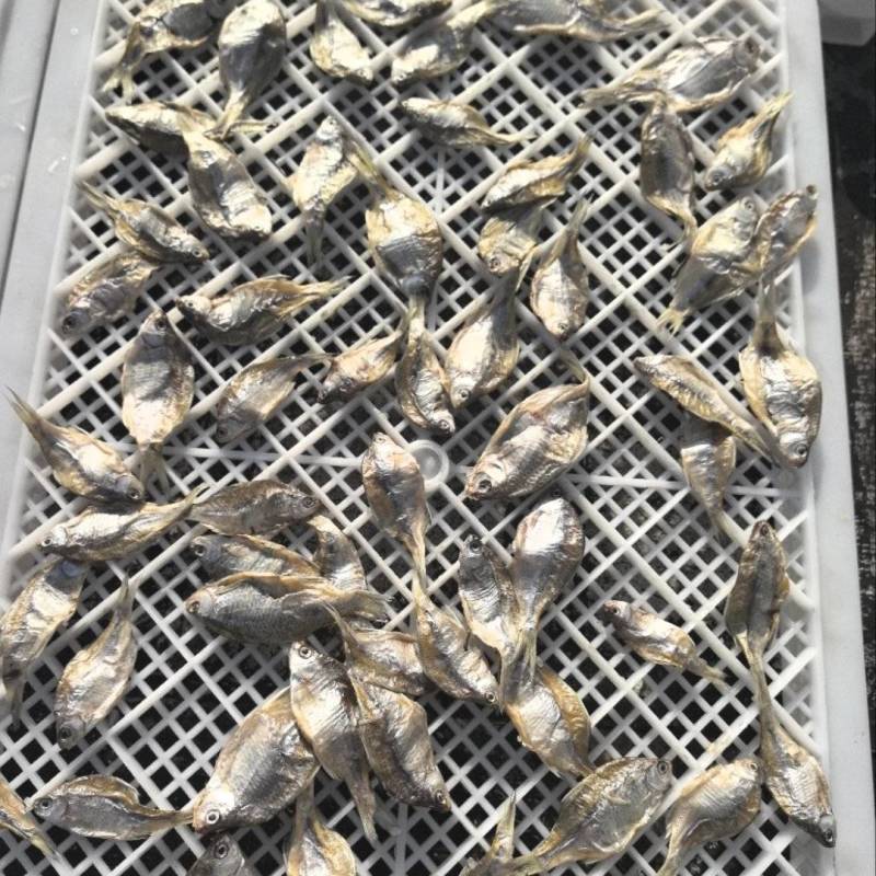 微山湖生态鳑鲏鱼干两个太阳自然晾晒阳干鱼全国发货量大从忧