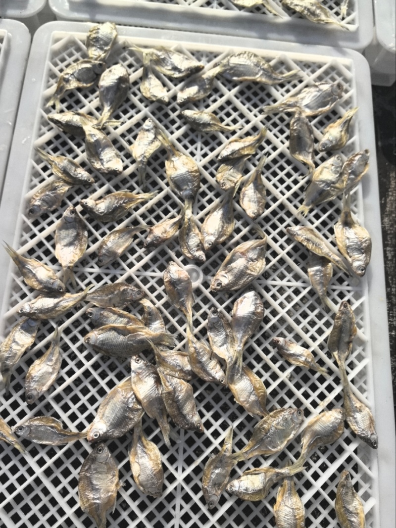 微山湖生态鳑鲏鱼干两个太阳自然晾晒阳干鱼全国发货量大从忧