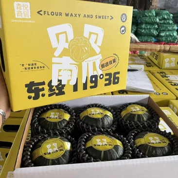 精品南瓜贝贝南瓜小南瓜礼盒软糯香甜营养丰富品质好价格低