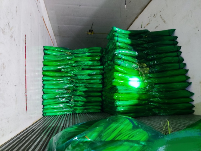 好货推荐精品白帽蒜薹对接电商市场商超一手货源